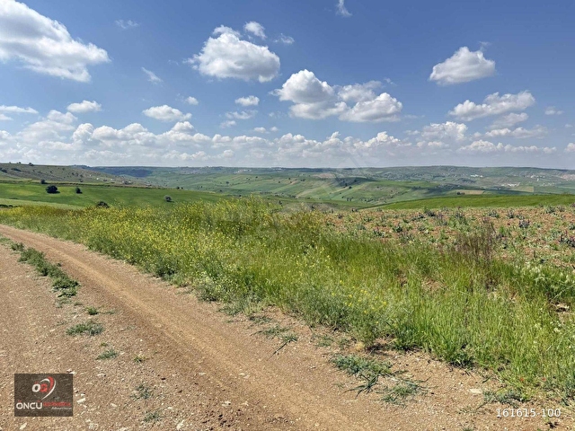 ÖNCÜDEN KIZIK MAH.KÖŞE BAŞI İMARA SINIR 2.580 M2 YATIRIM FIRSAT - Görsel 2
