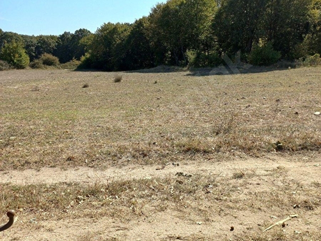 Tekirdağ  Saray Pazarcık Mah,de Satılık Tarla Köy  Tapusu  Değildir  Mah,le Tapu - Görsel 3