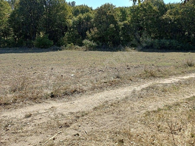 Tekirdağ  Saray Pazarcık Mah,de Satılık Tarla Köy  Tapusu  Değildir  Mah,le Tapu - Görsel 4