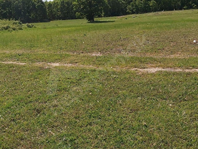 ÇATALCA GÜVEN34 EMLAKTAN SÜPER ARAZİ 5568M2 - Görsel 19
