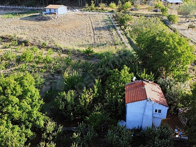 ÇANAKKALE BAYRAMİÇ BEŞİK KÖYÜ 6.900 m2 MEYVA BAHÇESİ 96 m2 EV - Görsel 29