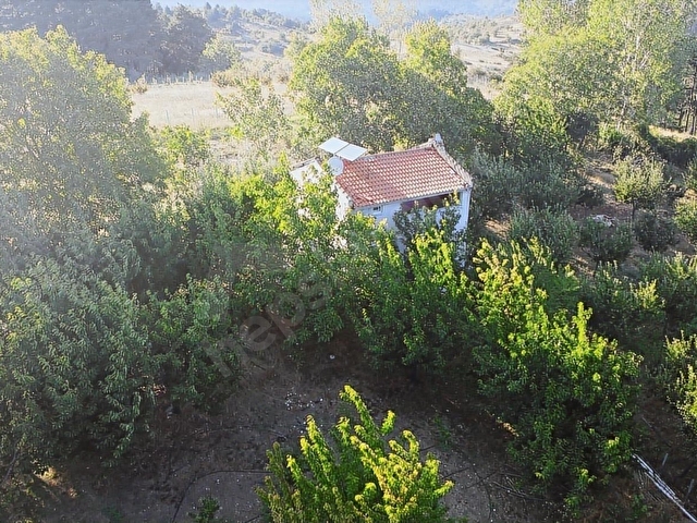 ÇANAKKALE BAYRAMİÇ BEŞİK KÖYÜ 6.900 m2 MEYVA BAHÇESİ 96 m2 EV - Görsel 25