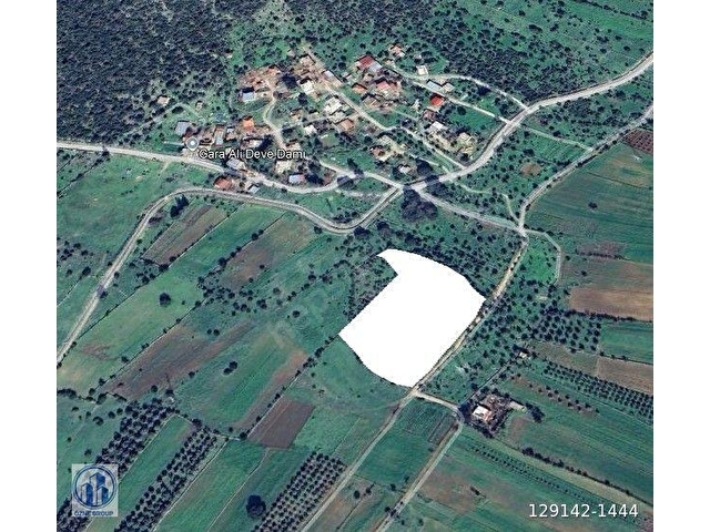 SAHİBİNDEN; MÜSTAKİL TAPULU, BODRUM AKDAMDA DÜZ ZEMİN MUHTEŞEM ZEYTİNLİK - Görsel 6