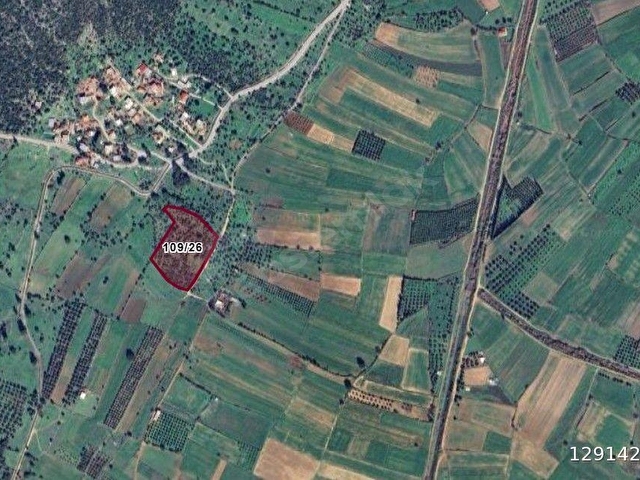 SAHİBİNDEN; MÜSTAKİL TAPULU, BODRUM AKDAMDA DÜZ ZEMİN MUHTEŞEM ZEYTİNLİK - Görsel 2