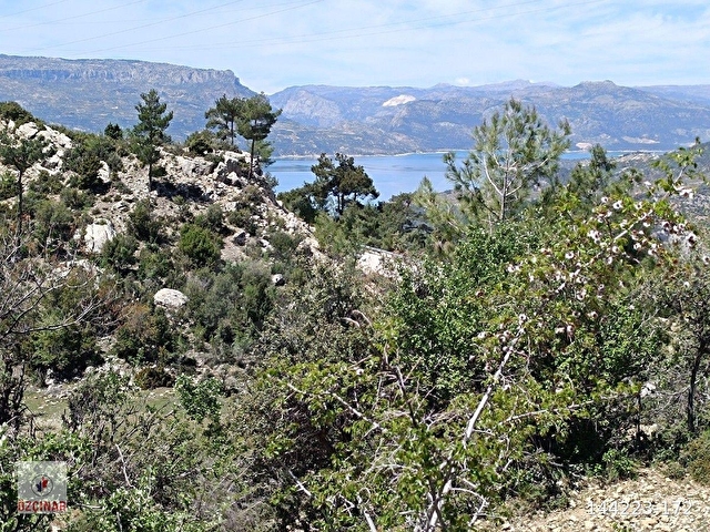 Karaman Ermenek Görmeli de tek tapu 3775m2