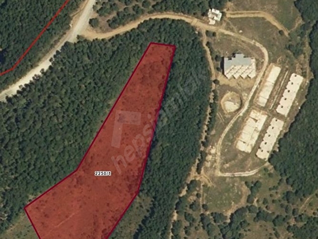 12263 m2 zirvede TARLA yol kenarı yatırımlık - Görsel 2