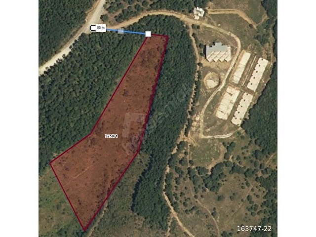 12263 m2 zirvede TARLA yol kenarı yatırımlık