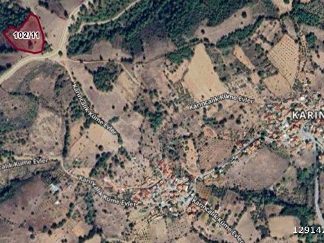 SAHİBİNDEN; MÜSTAKİL TAPULU DOĞA HARİKASI 7.830M2. YOLU MEVCUT TARLA - Görsel 10