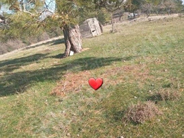 SAHİBİNDEN; MÜSTAKİL TAPULU DOĞA HARİKASI 7.830M2. YOLU MEVCUT TARLA - Görsel 4