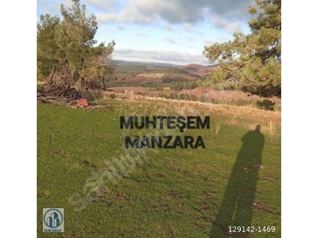 SAHİBİNDEN; MÜSTAKİL TAPULU DOĞA HARİKASI 7.830M2. YOLU MEVCUT TARLA - Görsel 5