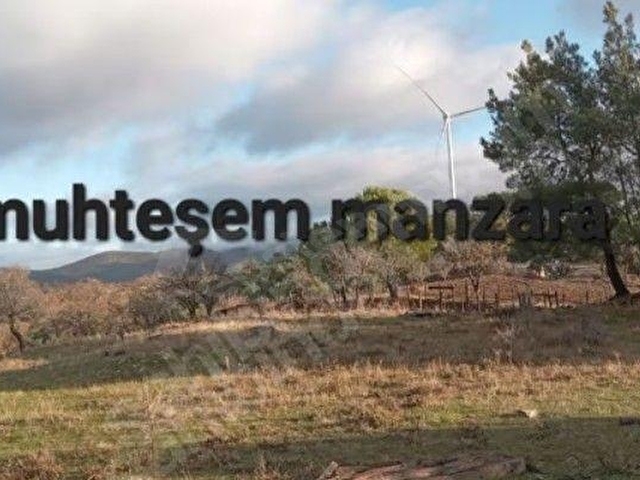 SAHİBİNDEN; MÜSTAKİL TAPULU DOĞA HARİKASI 7.830M2. YOLU MEVCUT TARLA