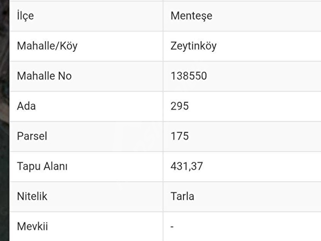 MUĞLA MENTEŞE ZEYTİNKÖY’DE RESMÎ YOLA CEPHELİ YATIRIMLIK MÜSTAKİL 431 M² TARLA - Görsel 2