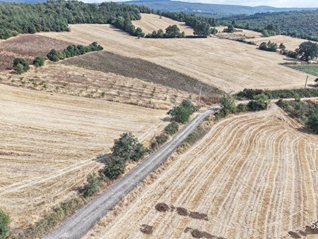 BURSA YENİŞEHİR GÜNECE MAH.YOLU MEVCUT 2645 m2 SATILIK TARLA - Görsel 4