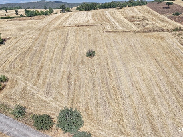 BURSA YENİŞEHİR GÜNECE MAH.YOLU MEVCUT 2645 m2 SATILIK TARLA - Görsel 3