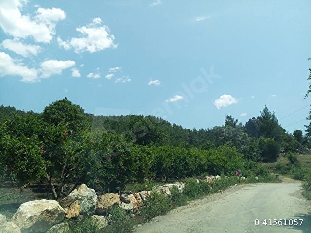 Etrafında Evler olan Antalya Serik Hasgebe (haspınar) Köy içi   Arsası alt yapısı mevcut - Görsel 8
