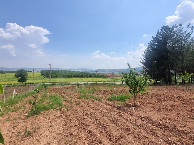SATILIK HİSSELİ TARLA VE BAĞ EVİ Kahramanmaraş /Pazarcık - Görsel 23