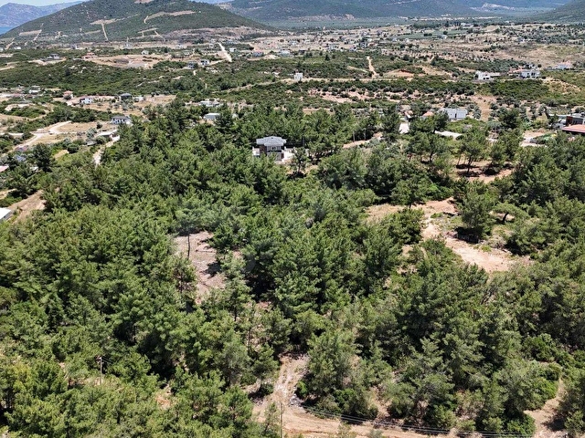 DİDİM SEYRANTEPEDE ÇAM AĞAÇLARI İÇİNDE 600 M2 VİLLA ARSASI - Görsel 10