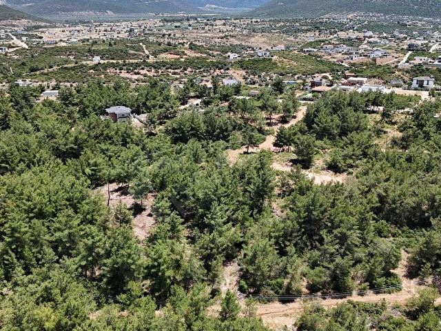 DİDİM SEYRANTEPEDE ÇAM AĞAÇLARI İÇİNDE 600 M2 VİLLA ARSASI - Görsel 9