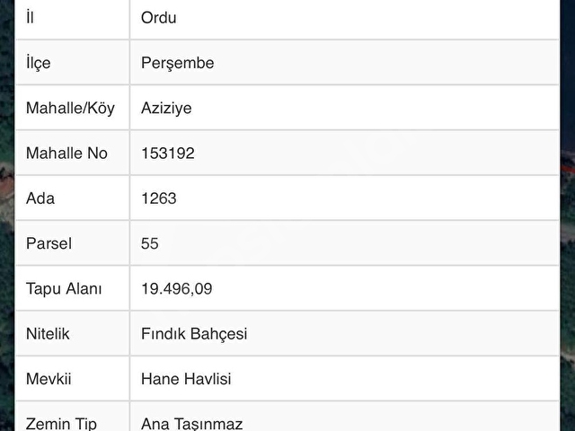 OFFICIAL GAYRİMENKUL DEN SATILIK FINDIK BAHÇESİ - Görsel 16