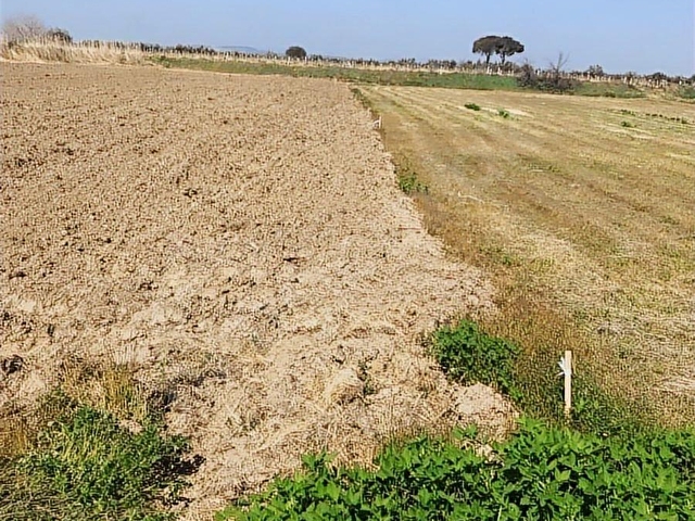 Menemen Çavuşta Yola cepheli 313 m² Hobi Bahçesi - Görsel 17