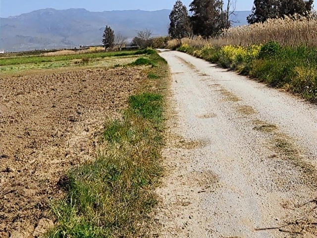Menemen Çavuşta Yola cepheli 313 m² Hobi Bahçesi - Görsel 13