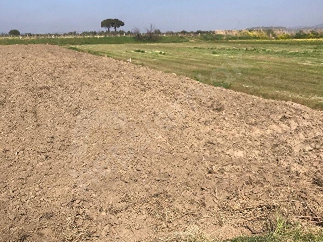 Menemen Çavuşta Yola cepheli 313 m² Hobi Bahçesi - Görsel 19