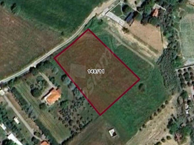 AND EMLAKTAN BOZCAADADA CUMHURİYET MAH PAPAZBAHÇE MEVKİ YOLA 61m CEPHELİ 10055m2 TARLA - Görsel 4