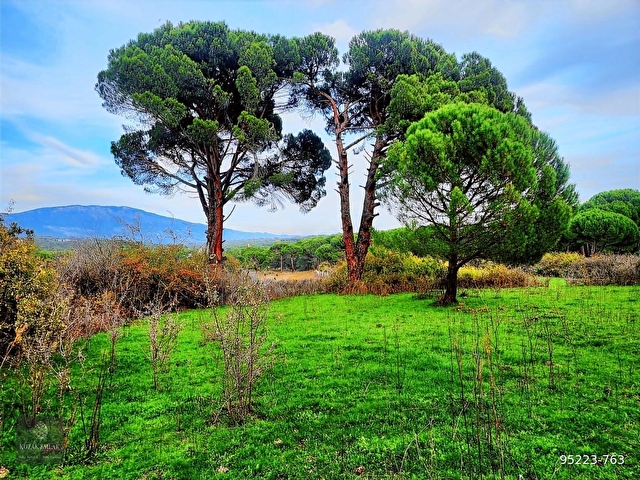 Bergama Kozak Hisar Tarla 3 Dönüm Satılık
