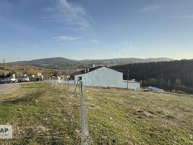 Körfez Alihocalarda 25m asfalt cepheli 840m2 arsa - Görsel 2