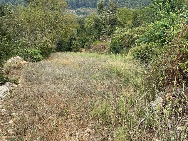Alanya Yaylalı Mahallesi’nde Doğa İçerisinde Satılık Yatırımlık Tarla - Görsel 5
