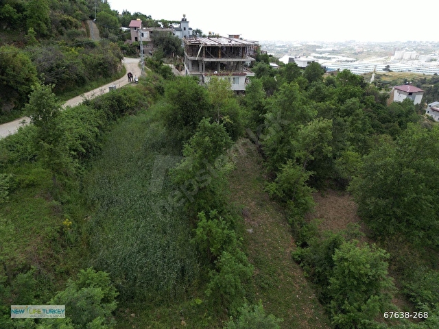 Alanya Yaylalı Mahallesi’nde Doğa İçerisinde Satılık Yatırımlık Tarla - Görsel 11