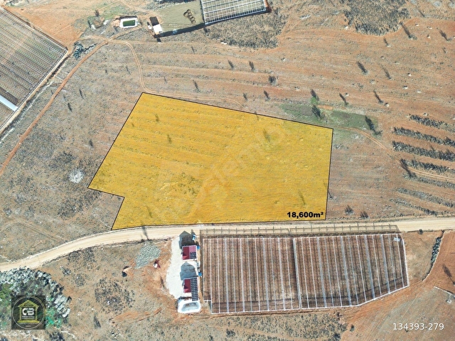 BALOĞLU GAYRİMENKULDEN BÜYÜKSÖĞLE MAH. 18.600m2 SATILIK ARAZİ