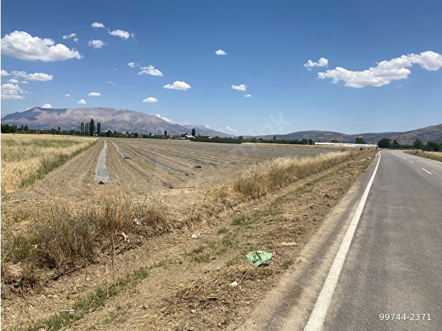 ALİ TOSUNDAN BAYRALARDA ELMALI-TEKKE ASFALTINA CEPHELİ  2.138 m2 VE 1.400 m2 (2 ADET  ARAZİMİZ) - Görsel 13