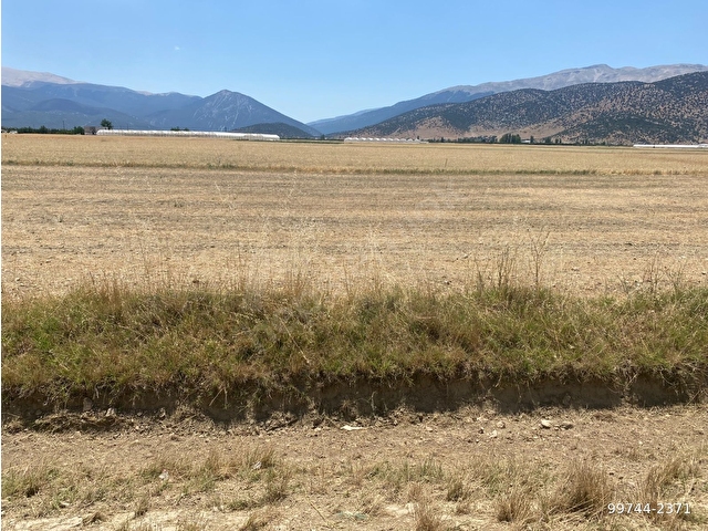 ALİ TOSUNDAN BAYRALARDA ELMALI-TEKKE ASFALTINA CEPHELİ  2.138 m2 VE 1.400 m2 (2 ADET  ARAZİMİZ) - Görsel 10