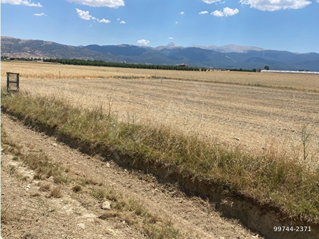 ALİ TOSUNDAN BAYRALARDA ELMALI-TEKKE ASFALTINA CEPHELİ  2.138 m2 VE 1.400 m2 (2 ADET  ARAZİMİZ) - Görsel 6