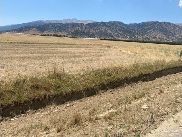 ALİ TOSUNDAN BAYRALARDA ELMALI-TEKKE ASFALTINA CEPHELİ  2.138 m2 VE 1.400 m2 (2 ADET  ARAZİMİZ) - Görsel 2