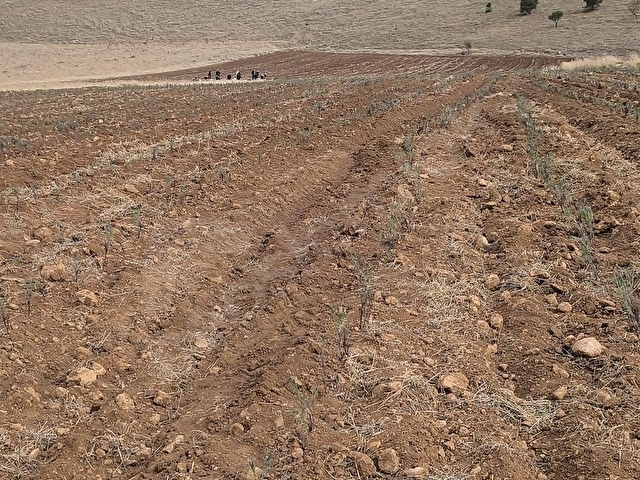 ÇİVRİL IŞIKLI GÖLÜ MANZARALI YATIRIM FIRSATI - Görsel 30