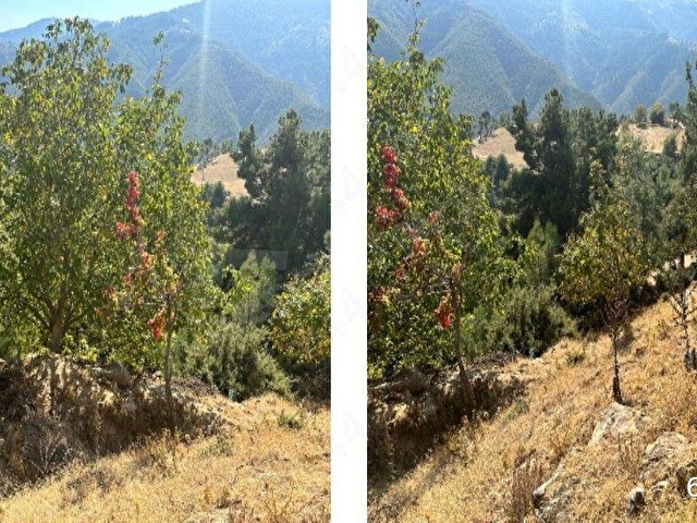 MANİSA ALAŞEHİR MÜSTAKİL EV TAPU SAHİ PERTA EMLAK ÜMİT - Görsel 4