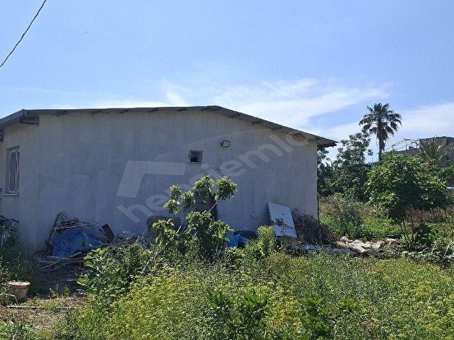HATAY ARSUZ ÖVÜNDÜK MAH KİRALIK 600 M2 MÜSTAKİL DAİRE - Görsel 12
