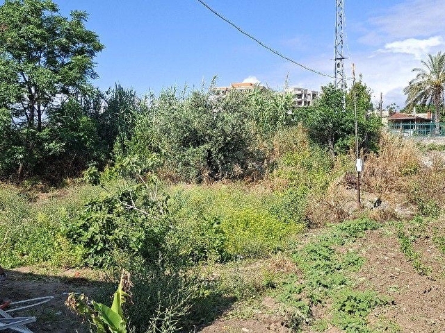 HATAY ARSUZ ÖVÜNDÜK MAH KİRALIK 600 M2 MÜSTAKİL DAİRE - Görsel 17