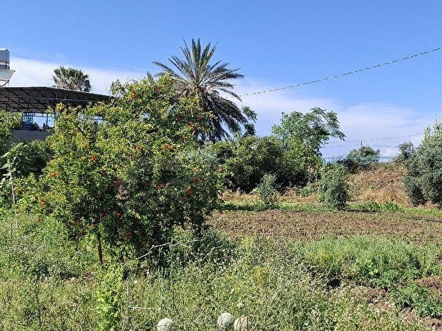 HATAY ARSUZ ÖVÜNDÜK MAH KİRALIK 600 M2 MÜSTAKİL DAİRE - Görsel 20
