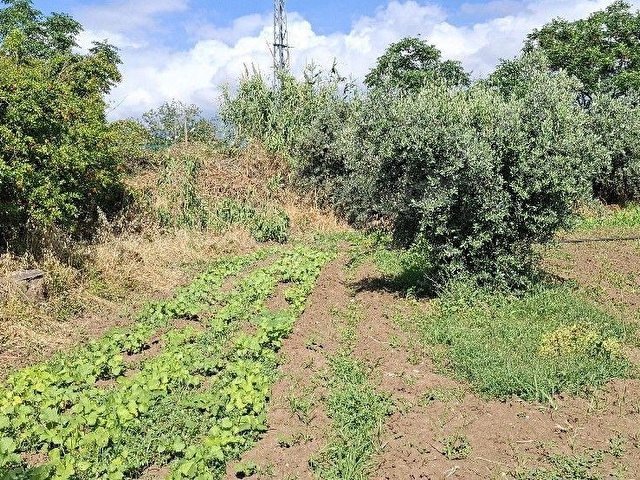 HATAY ARSUZ ÖVÜNDÜK MAH KİRALIK 600 M2 MÜSTAKİL DAİRE - Görsel 24
