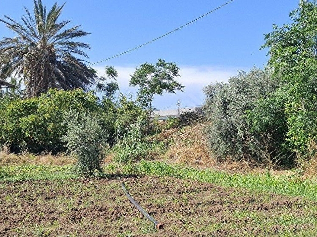 HATAY ARSUZ ÖVÜNDÜK MAH KİRALIK 600 M2 MÜSTAKİL DAİRE - Görsel 29