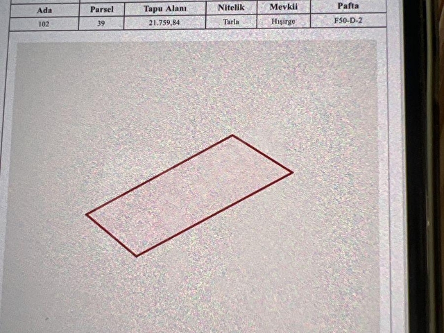 Fırsat tarla