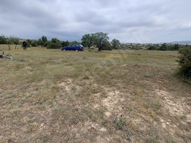 honda yada Toyota takaslı arsa