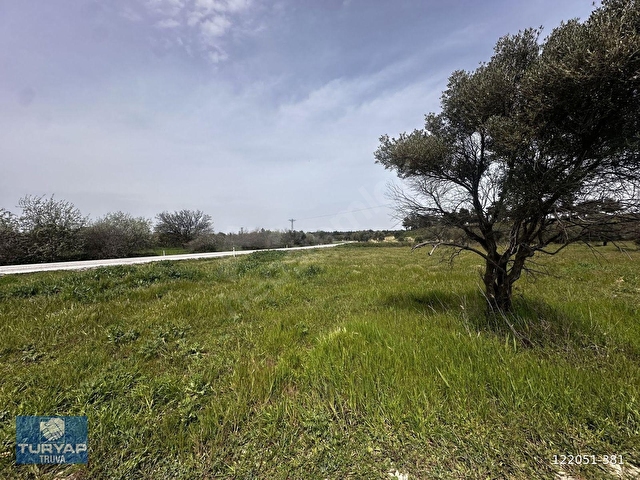 ÇANAKKALE ECEABAT SEDDÜLBAHİRDE 22 DÖNÜM YOLA CEPHELİ TARLA - Görsel 9