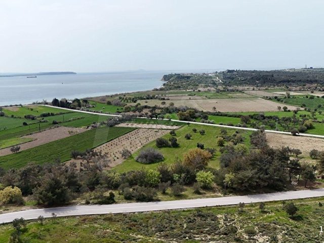 ÇANAKKALE ECEABAT SEDDÜLBAHİRDE 22 DÖNÜM YOLA CEPHELİ TARLA - Görsel 13