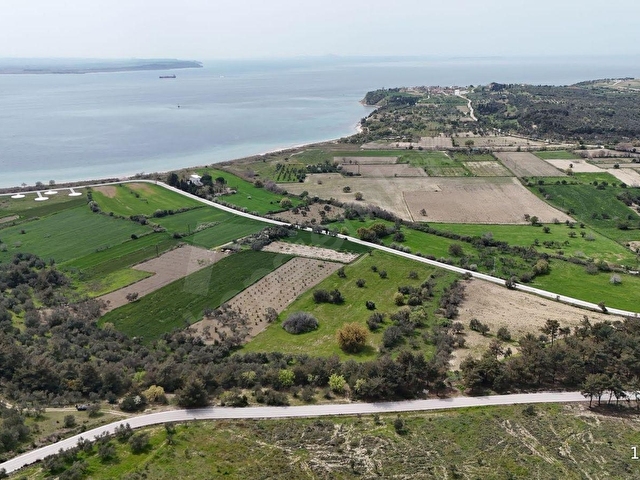 ÇANAKKALE ECEABAT SEDDÜLBAHİRDE 22 DÖNÜM YOLA CEPHELİ TARLA - Görsel 5