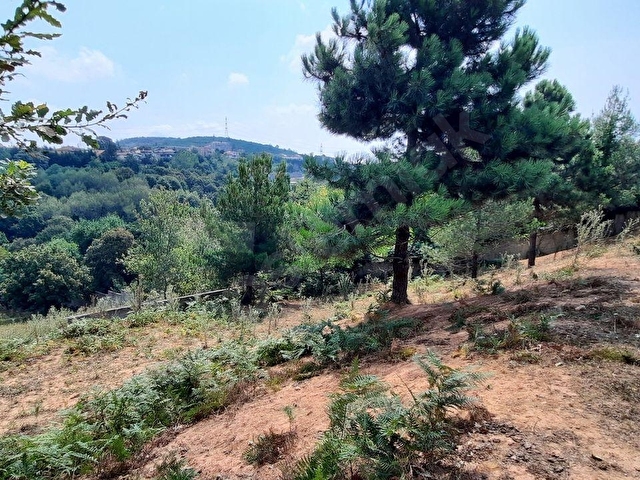 Beykoz Baklacıda Satılık Arsa: 1.706 m² Villa İmarlı, Emsal 0.45 - Görsel 18