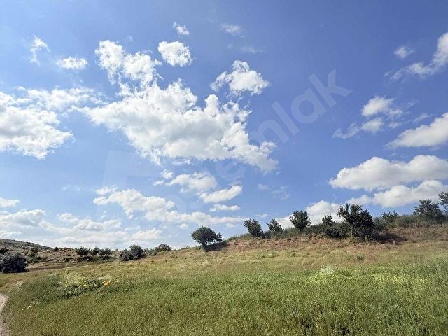 MAVİRA GAYRİMENKULDEN ÇARDAKTA 1950 M² FIRSAT ARAZİ - Görsel 8